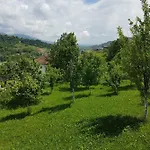 Willa Fruit Garden *