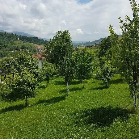 Villa Fruit Garden *